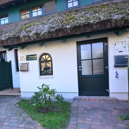 Reethauser Boddenstr. 17 Gager Dış mekan fotoğraf